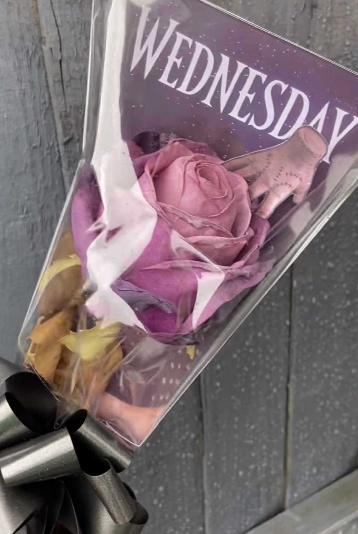 Wednesday rose