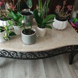 Marble Coffee Table $100