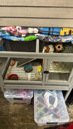 Cage + food + 🐹🐹