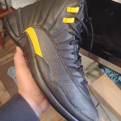 AJ 12 SIZE 11