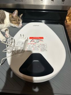 Wet pet food dispenser