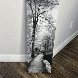 Black and White Forest Path Canvas