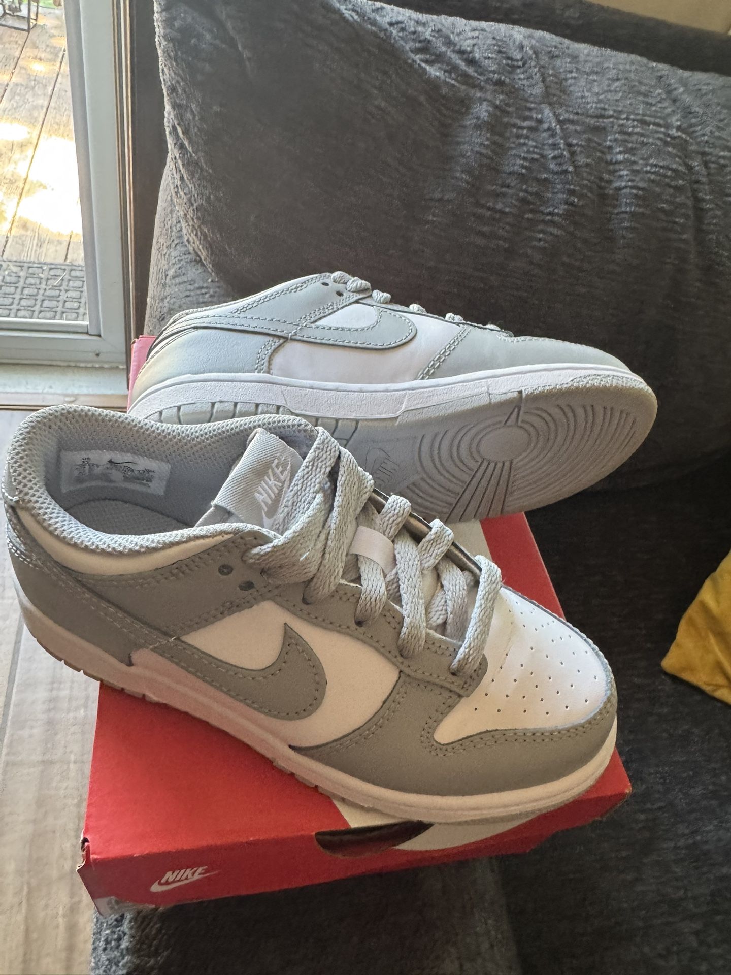 Nike Dunks 1 Youth