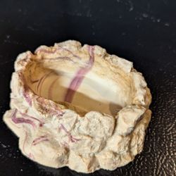 Reptile/Amphibian Food Dish