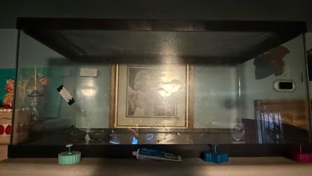 Reptile Glass Cage