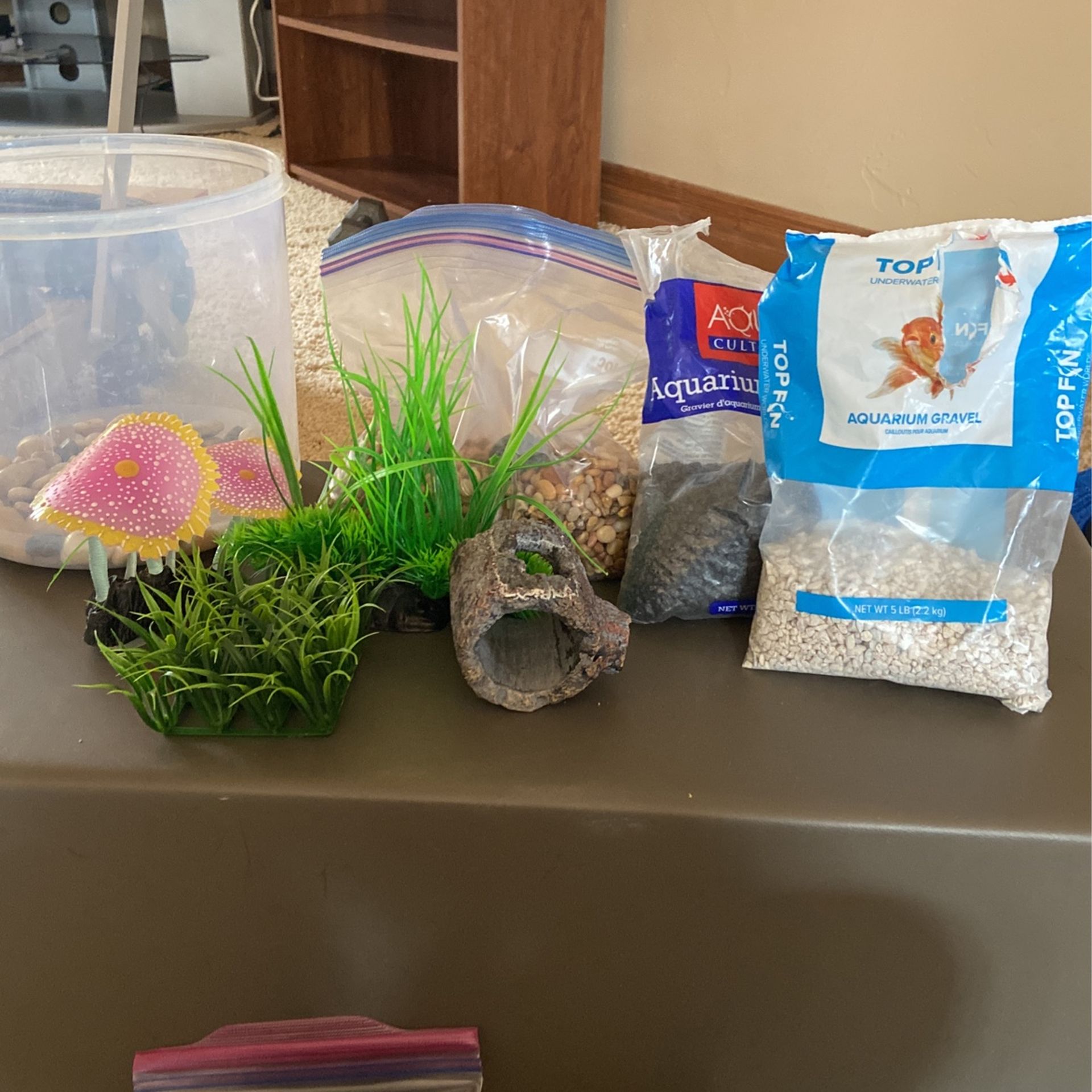 Fish Tank Decor