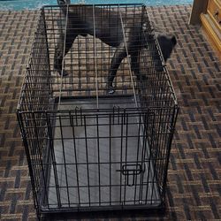 Dog Cage