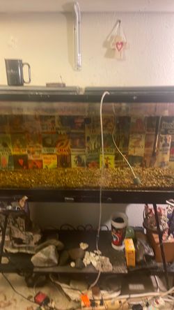55 gallon and stand used 55 gallon and stand used
