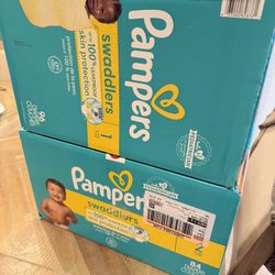 Pampers Diapers