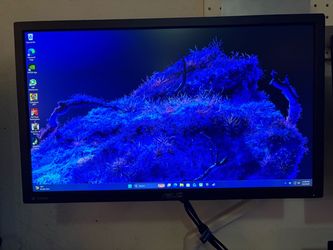 Asus monitor