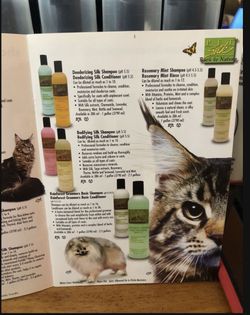  Para El Cuidado Del Pelo De Sus Mascotas 