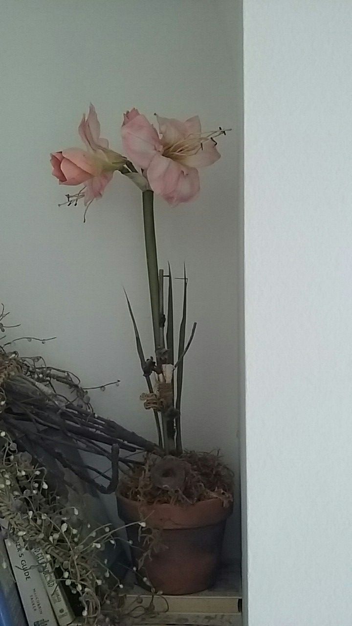 Beautiful silk flowers in a clay pot