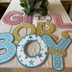 Gender Reveal Signs