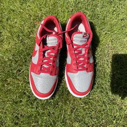 Unlv Dunk Size 11