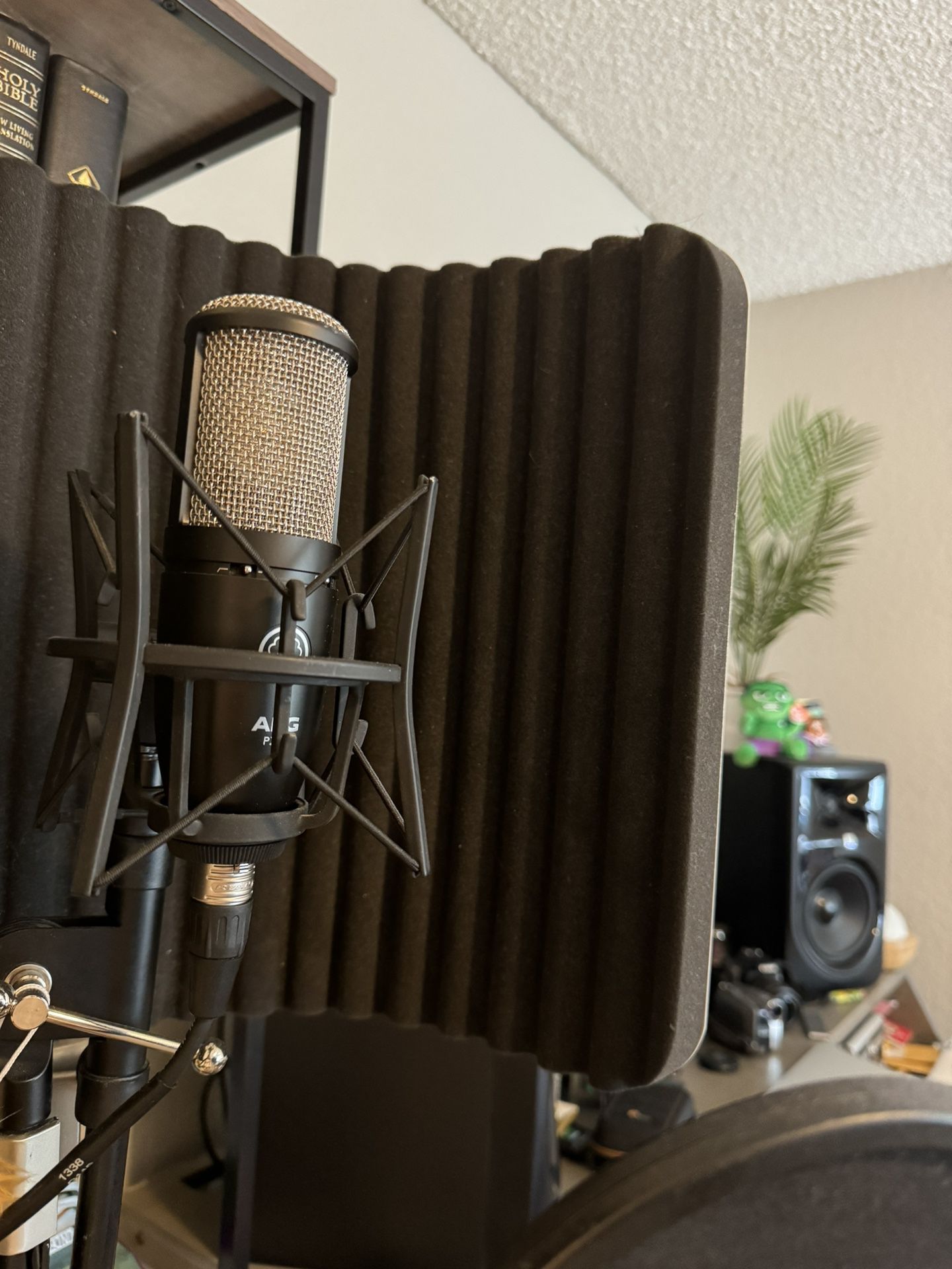 AKG P220 Studio Microphone w/ VMS Shield