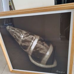 2 Glass Shells In 23 By 23 Wood Frame Signed Pip Bloomfield  $35 Each