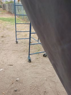 Scaffold