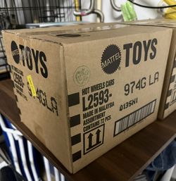 Hot Wheels Sealed G Case 2025