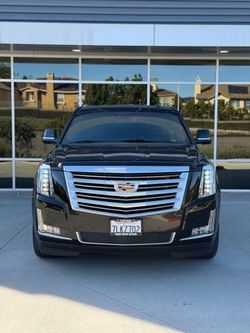 2015 Cadillac Escalade