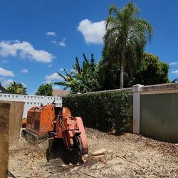 Tree And Palm Shredding 🌴 