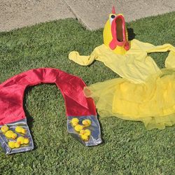 Chicken Magnet Costumes