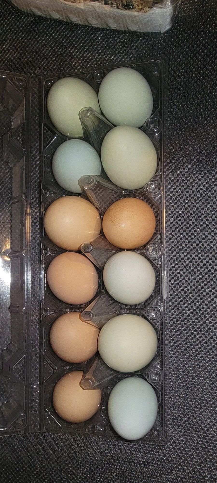 Eggs / Huevos