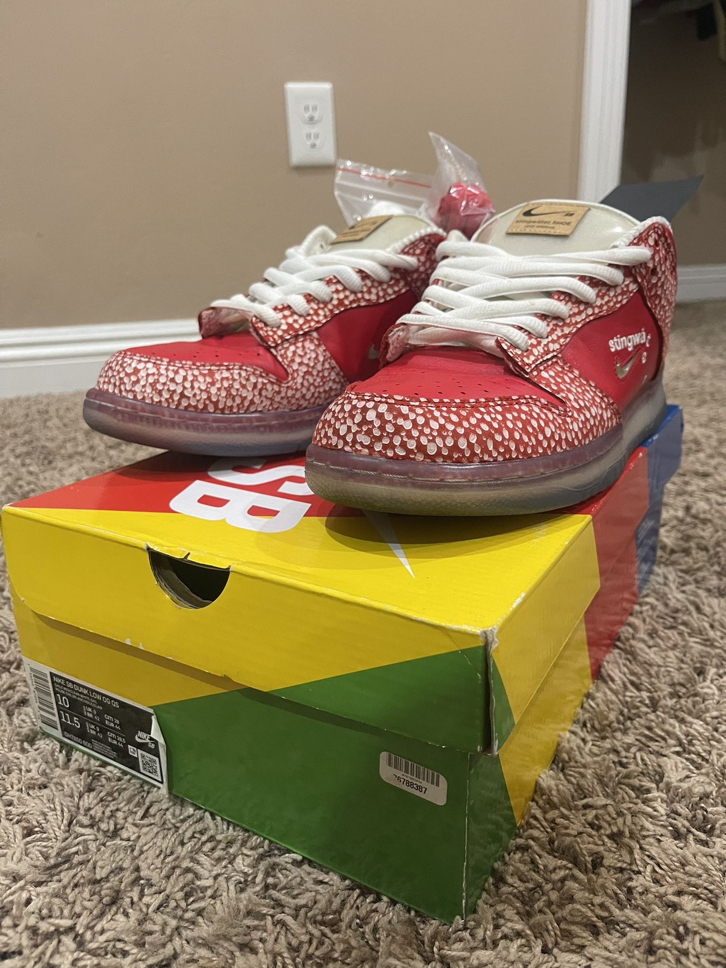 Nike Dunk Sb Low Sting water Size 10