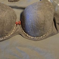 EUC body By Victoria Bra 36D