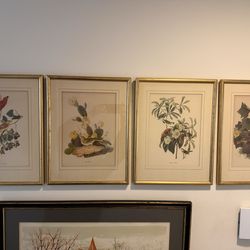 Vintage Bird Prints