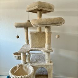 6 Ft Tall cat gym And Brand new Electric litter box