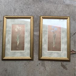 Two Floral Prints Artwork Gold Frame