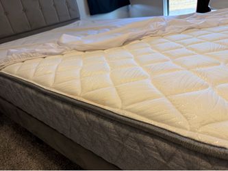 Sealy Mattress