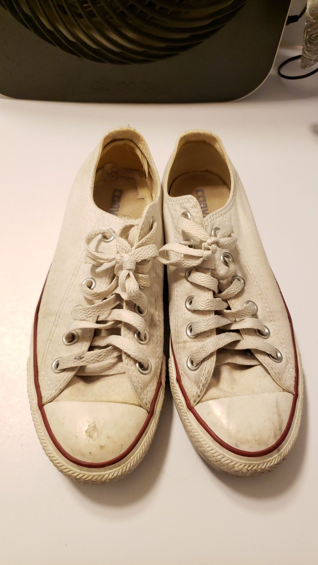 white low top converse men's 6 women's 8