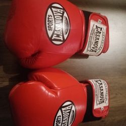 Boxing Gloves Casanova 