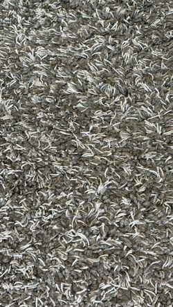 Gray Shag Area Rug