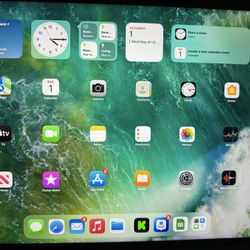 Factory unlocked iPad Pro 12.9 5th gen