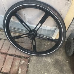 Plants Para Bicicleta