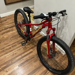 Specialized Fat Tire Kids Bike 