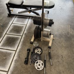 Weight Bench, Curl Bar, Weights And Rack 