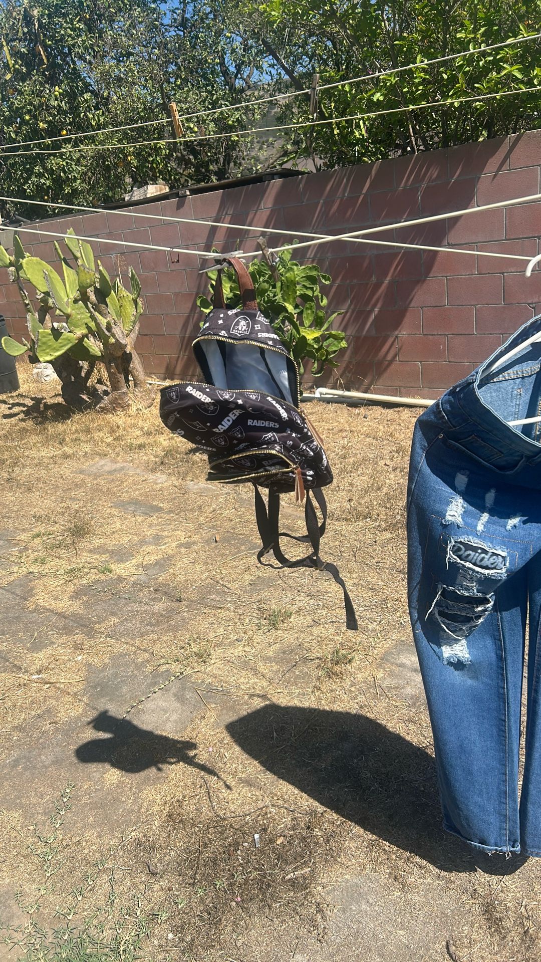 Backpack