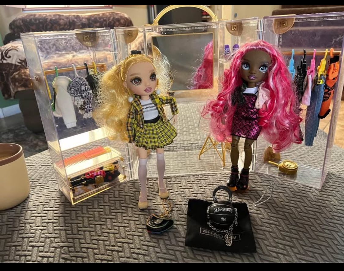 Rainbow High Doll And Closet Full