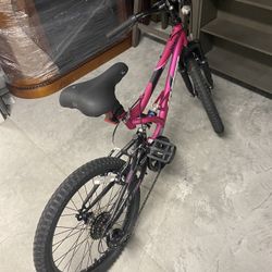 20 Inch Bike 