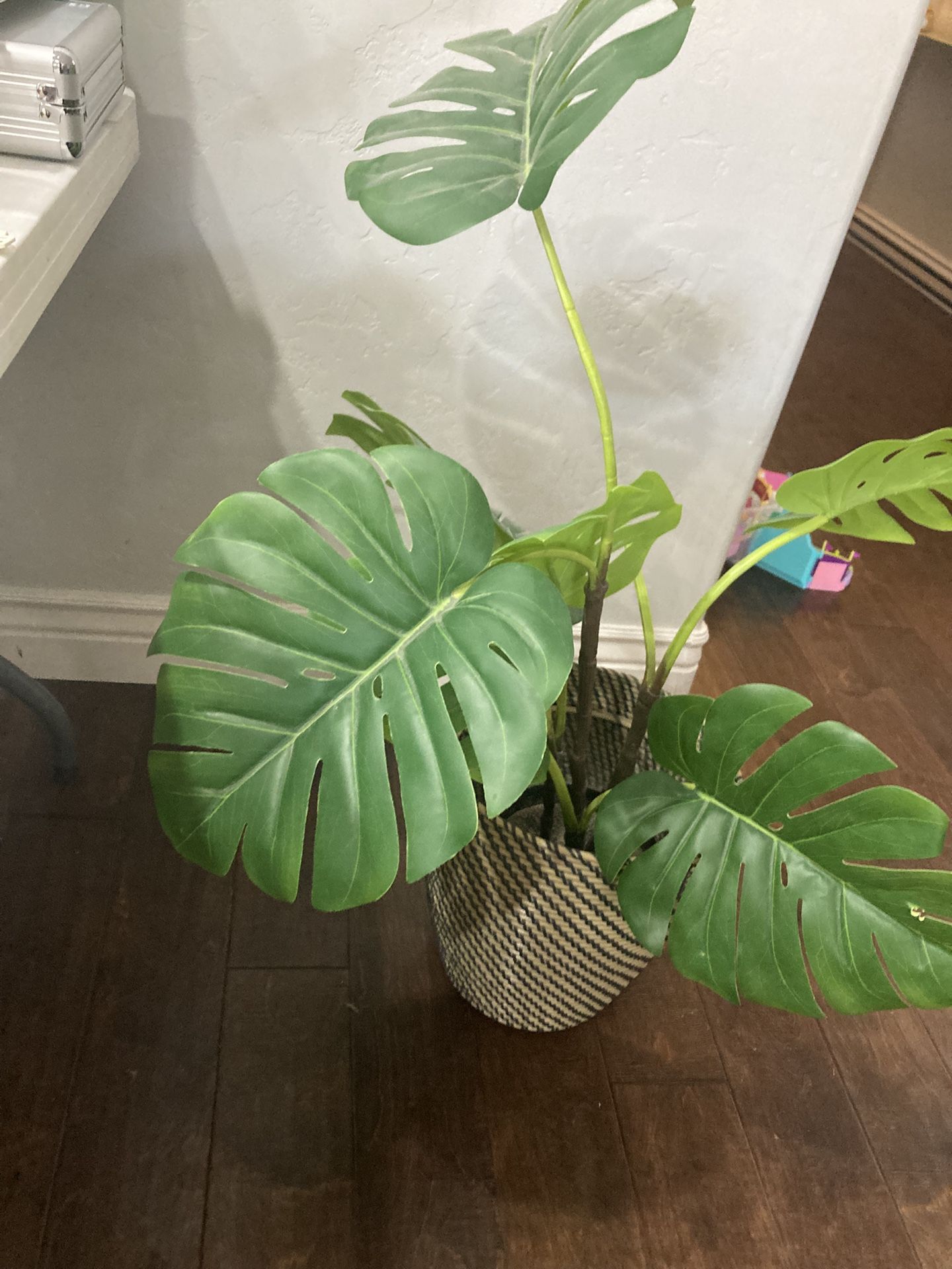 Fake Monsterra Plant That Will Fool Your Guests