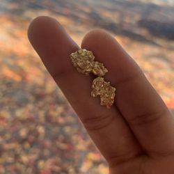 10k Golden Ear Nuggets 