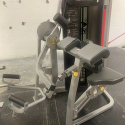 Cybex Arm / Bicep Curl 