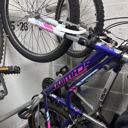 Selling bicycle for $80