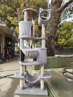Cat Scratching Tree