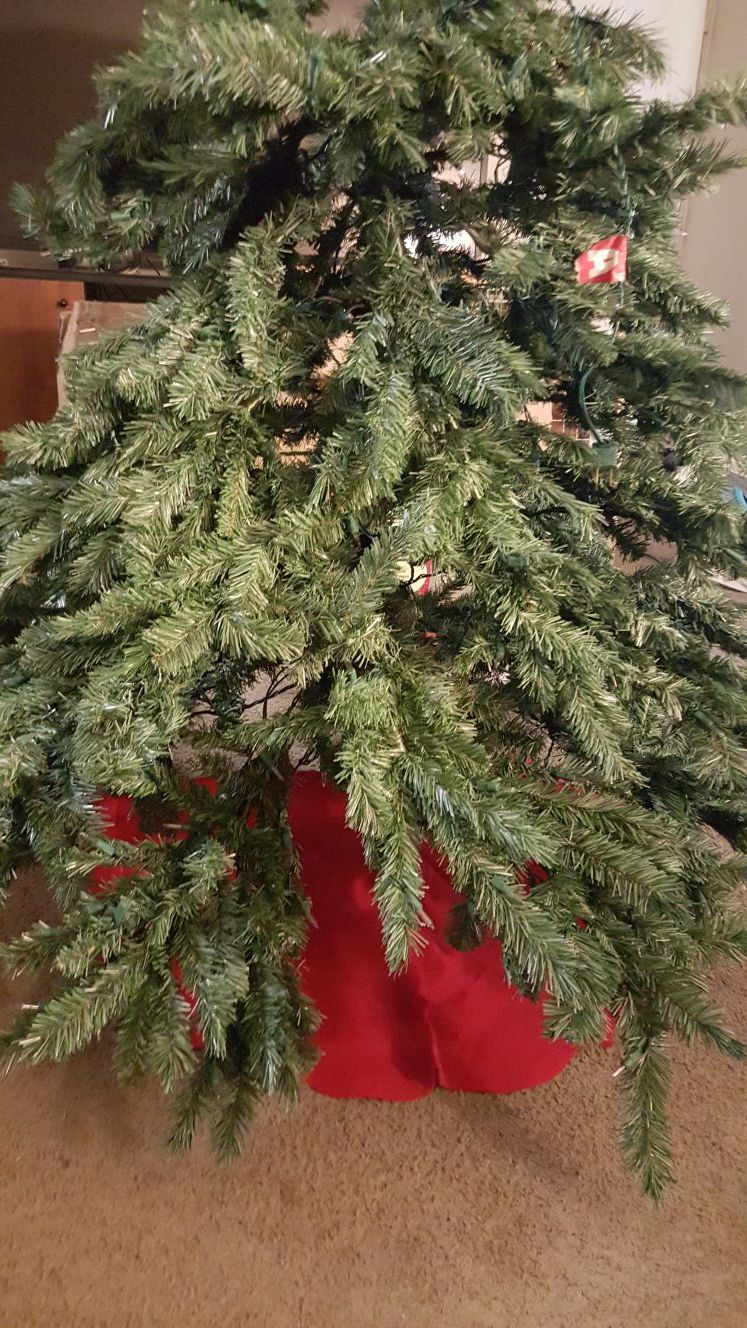 Martha Stewart 6.5ft bearpaw mountain Christmas tree for Sale in