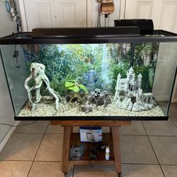 Aquarium/Tank 85 Gallon Tank  ( No Fish Included ) ( Have More Tanks Available) *** Great Condition ***