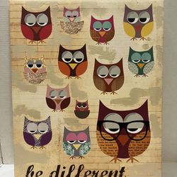 BE DIFFERENT Owls 16 X 20 X 1.5 Canvas Wall Art Poster Picture